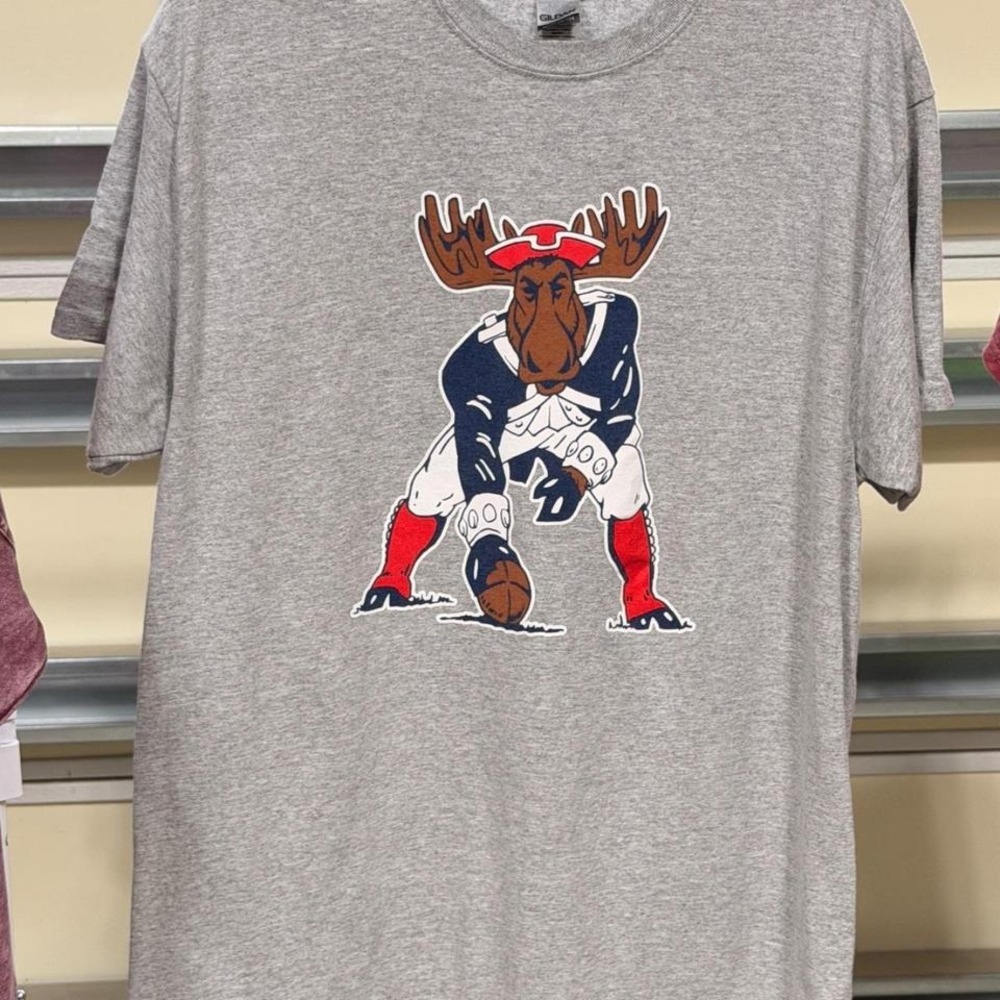 New England Patriots Moose Gildan Grey Heavy Cotton